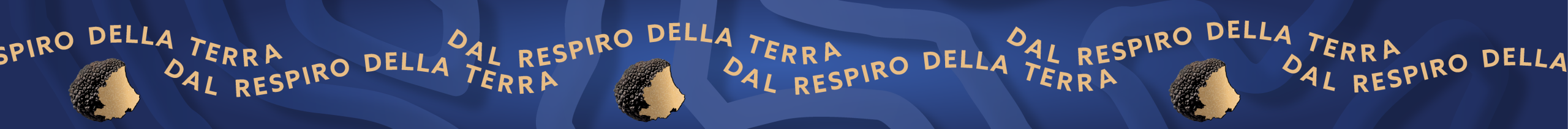 banda sito slogan
